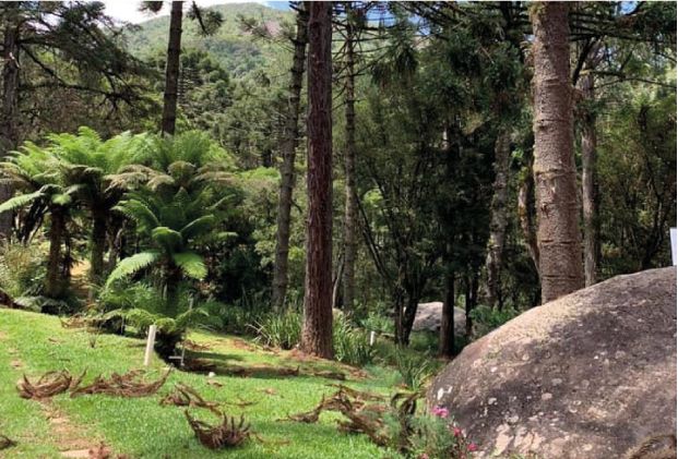 parque-oschin-0003