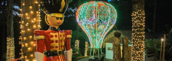 Saiu o vídeo do Natal Exuberante  em Monte Verde; emocione-se!